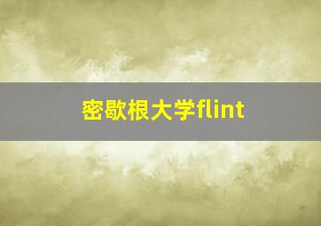 密歇根大学flint