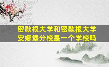 密歇根大学和密歇根大学安娜堡分校是一个学校吗