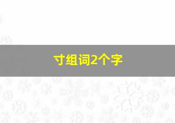 寸组词2个字