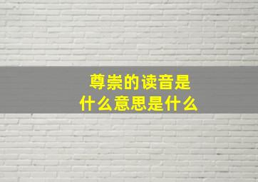 尊崇的读音是什么意思是什么