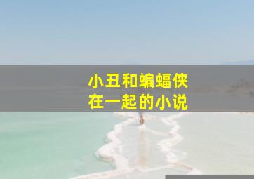 小丑和蝙蝠侠在一起的小说