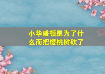 小华盛顿是为了什么而把樱桃树砍了