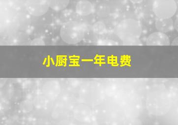 小厨宝一年电费