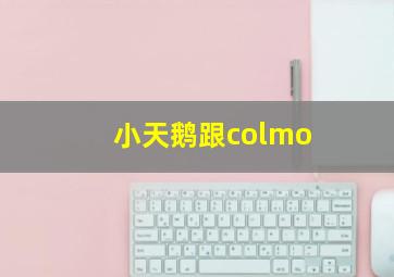 小天鹅跟colmo