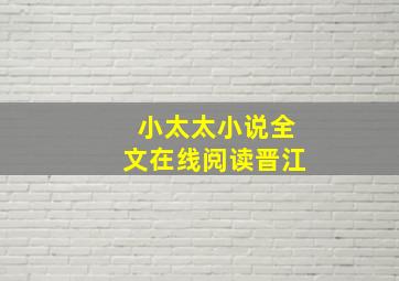 小太太小说全文在线阅读晋江