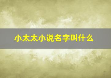 小太太小说名字叫什么