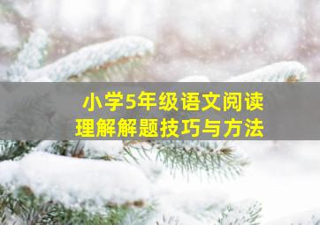 小学5年级语文阅读理解解题技巧与方法