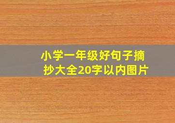 小学一年级好句子摘抄大全20字以内图片