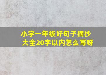 小学一年级好句子摘抄大全20字以内怎么写呀