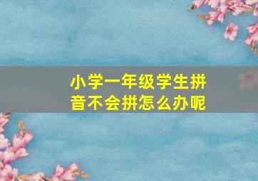 小学一年级学生拼音不会拼怎么办呢