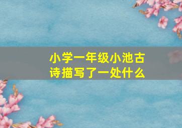 小学一年级小池古诗描写了一处什么