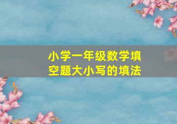 小学一年级数学填空题大小写的填法