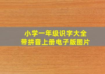 小学一年级识字大全带拼音上册电子版图片