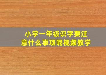 小学一年级识字要注意什么事项呢视频教学