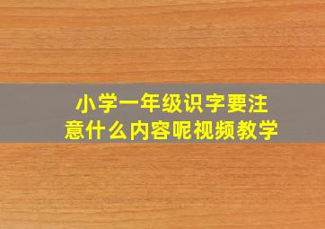 小学一年级识字要注意什么内容呢视频教学