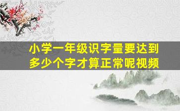 小学一年级识字量要达到多少个字才算正常呢视频