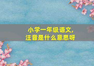 小学一年级语文,注音是什么意思呀