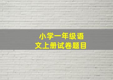 小学一年级语文上册试卷题目