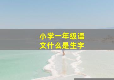 小学一年级语文什么是生字