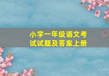 小学一年级语文考试试题及答案上册