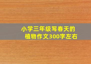 小学三年级写春天的植物作文300字左右