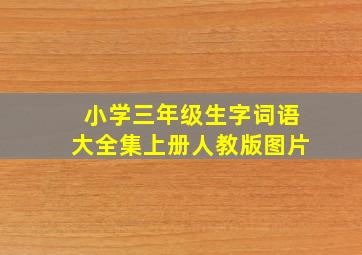 小学三年级生字词语大全集上册人教版图片