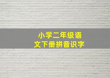 小学二年级语文下册拼音识字