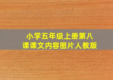 小学五年级上册第八课课文内容图片人教版