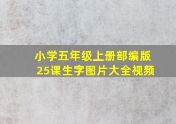 小学五年级上册部编版25课生字图片大全视频