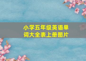 小学五年级英语单词大全表上册图片