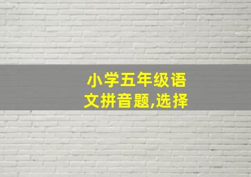 小学五年级语文拼音题,选择