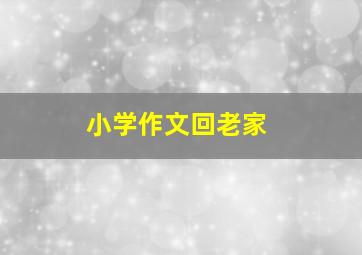 小学作文回老家