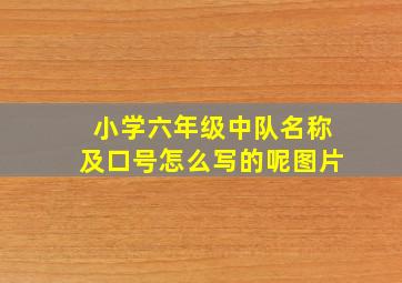 小学六年级中队名称及口号怎么写的呢图片