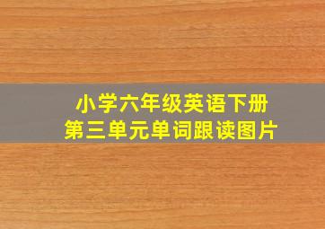 小学六年级英语下册第三单元单词跟读图片