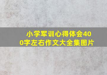 小学军训心得体会400字左右作文大全集图片