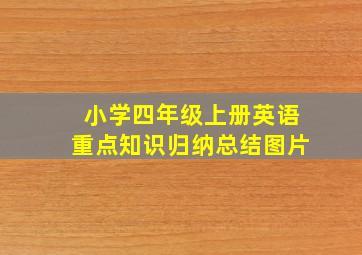 小学四年级上册英语重点知识归纳总结图片