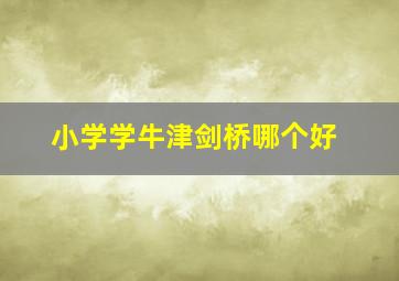 小学学牛津剑桥哪个好