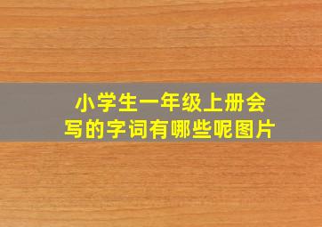 小学生一年级上册会写的字词有哪些呢图片