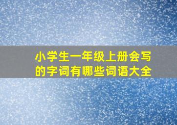 小学生一年级上册会写的字词有哪些词语大全