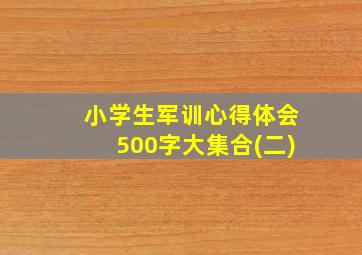 小学生军训心得体会500字大集合(二)