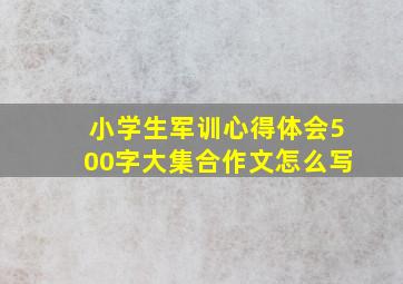 小学生军训心得体会500字大集合作文怎么写