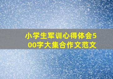 小学生军训心得体会500字大集合作文范文