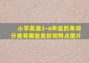 小学英语3~6年级的单词分类有哪些类别和特点图片