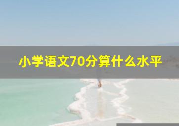 小学语文70分算什么水平