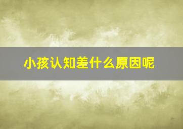 小孩认知差什么原因呢