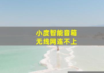 小度智能音箱无线网连不上