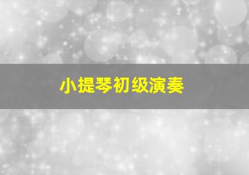 小提琴初级演奏