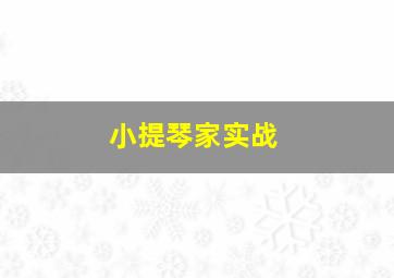 小提琴家实战