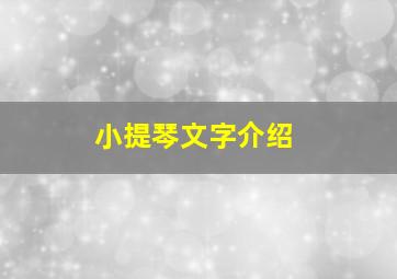 小提琴文字介绍