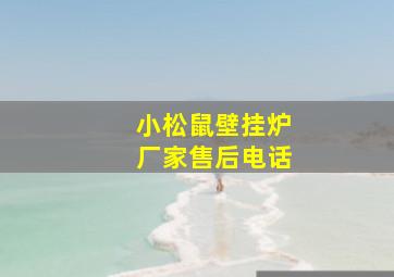 小松鼠壁挂炉厂家售后电话